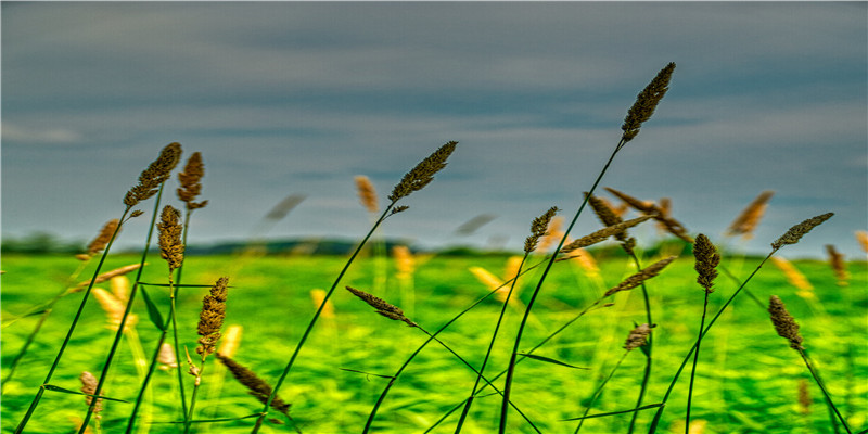 50年的属什么(收藏哪种50元钱币能升值)