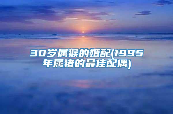 30岁属猴的婚配(1995年属猪的最佳配偶)