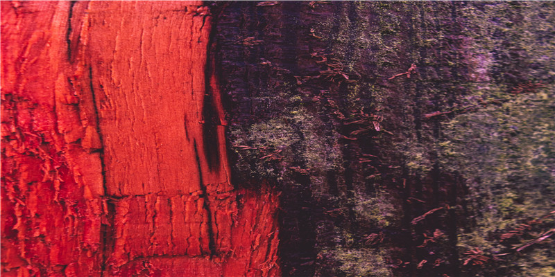 正月初一可以结婚吗(十月初一结婚)