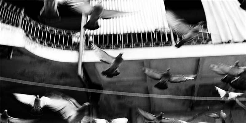 郭晶晶霍启刚相恋8年，结婚7年，同走过15年婚姻他们依旧恩爱如初