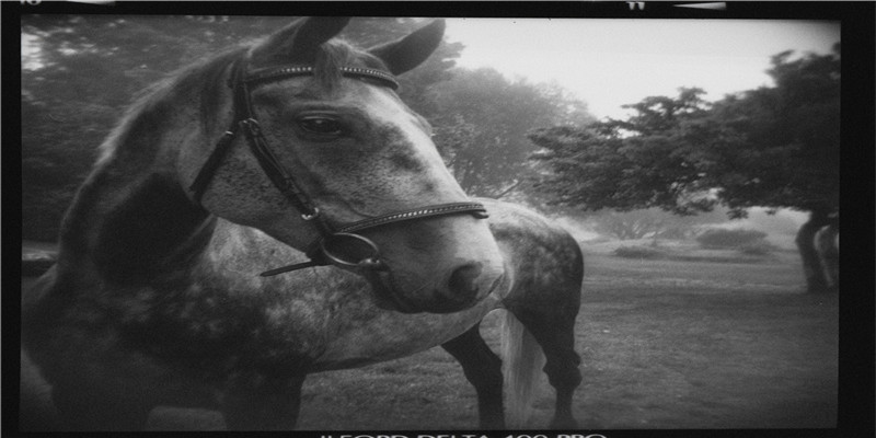 梦到和死人睡一起预兆(梦见和死人睡在一起什么意思)