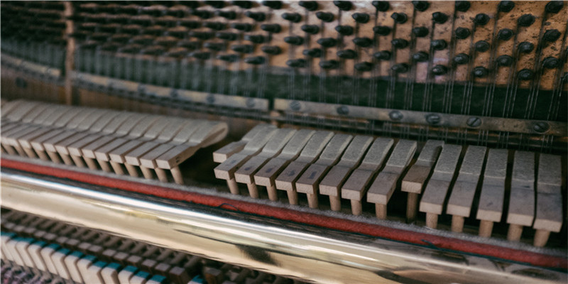 学习面相真人图解  不急于求成，打好基础。下苦功夫记、背、 练