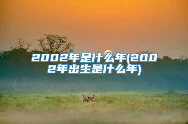 2002年是什么年(2002年出生是什么年)