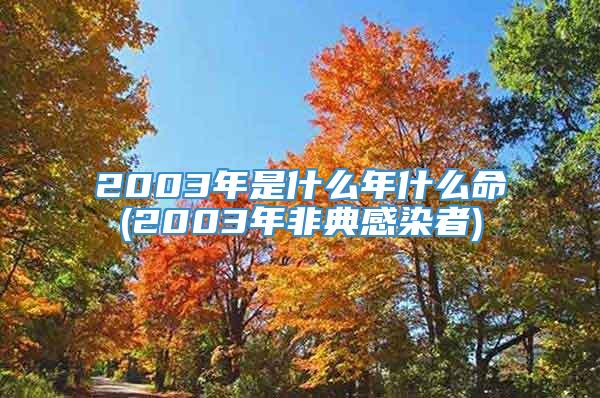 2003年是什么年什么命(2003年非典感染者)