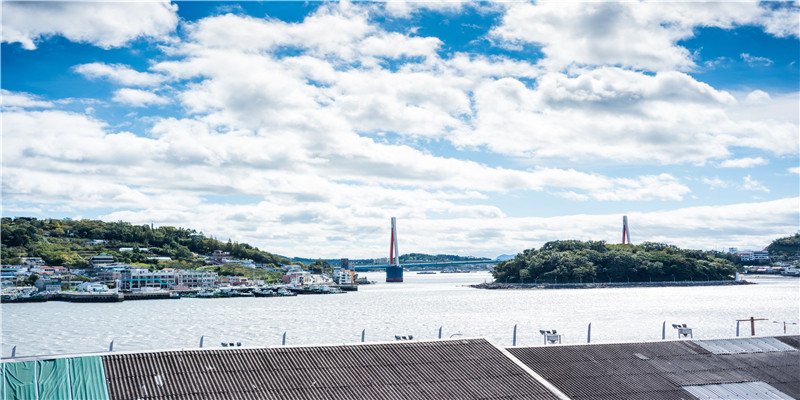 60年属什么生肖(男人猜什么生肖)