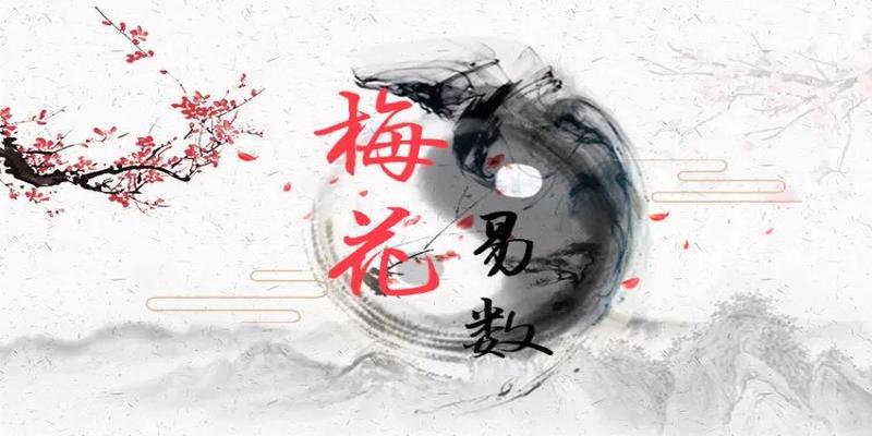 梅花易数要看爻辞吗(梅花易数的占卜心法)