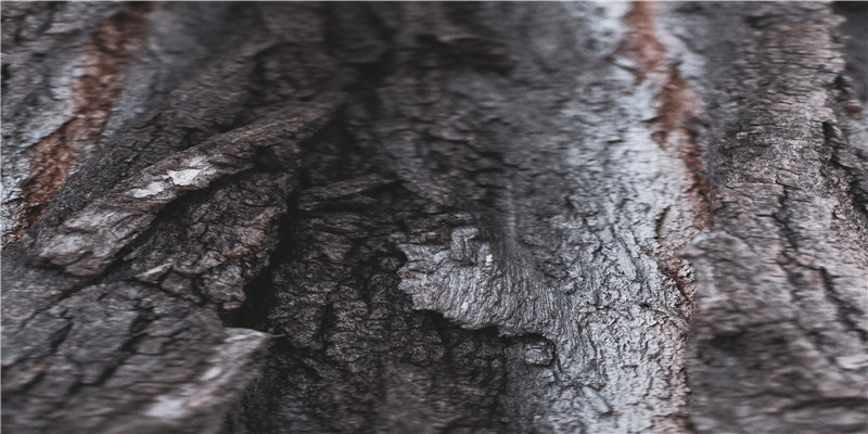 真实的海昏侯，在位27天就因得罪权臣被废，死后还被一直抹黑