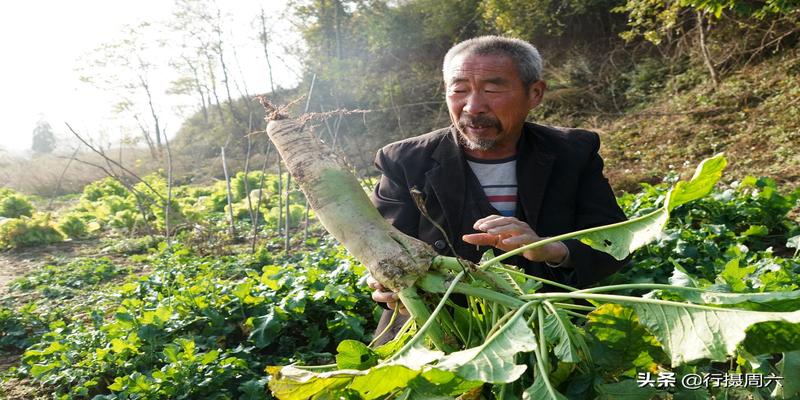 6旬农民痴迷周易八卦，独居山洞修炼养生30多年，看活成啥样