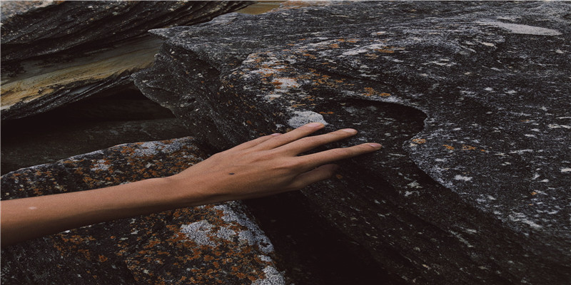 梦到朋友杀了另一个朋友(梦到什么预示好运)