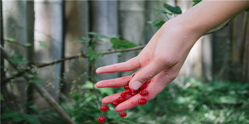 2022年虎宝宝取名字最佳字(2022名字大全)