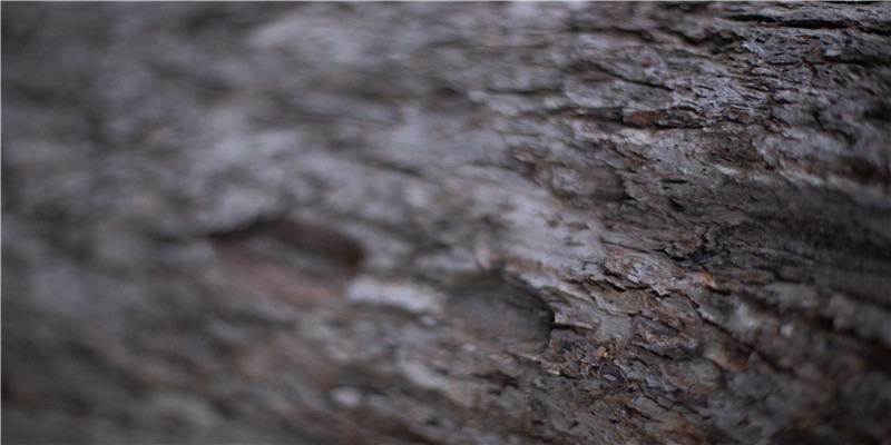 梦到别人跳舞我在看(梦见在广场跳舞)