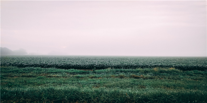 梦到从来不联系的同学(晚安 梦到我)