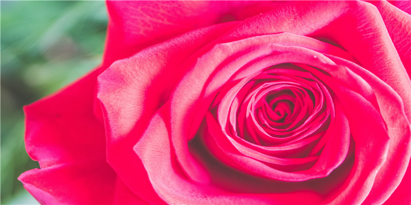 河北3市实名曝光!这95人将处处受限