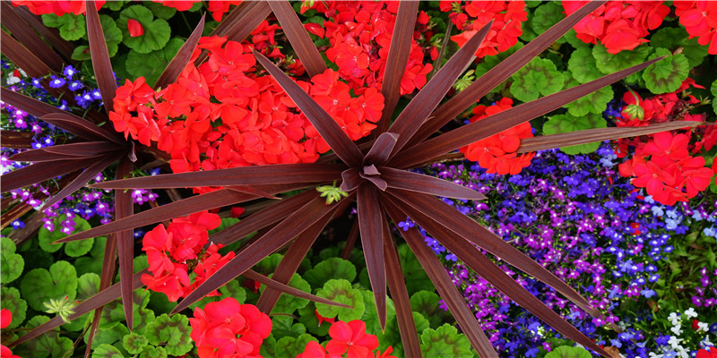 男宝宝起名字 器宇不凡的男宝宝名字大全