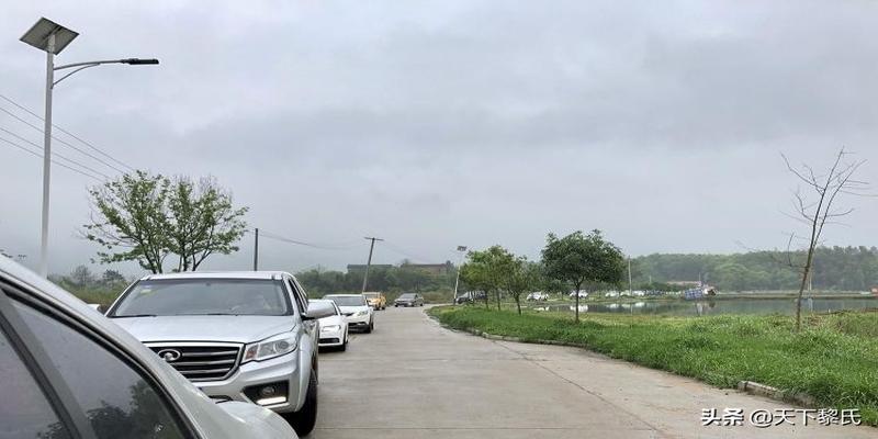 乾山巽向兼亥巳择日(黎氏兴荣公后裔清明祭祖)