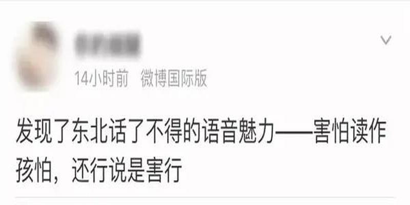 东北人嘴里到底能蹦出多少奇怪的四字词语?