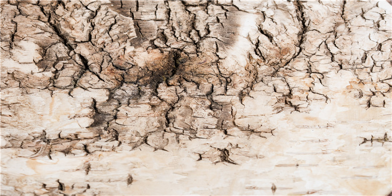 互联网上搞玄学,现在的年轻人都怎么了?