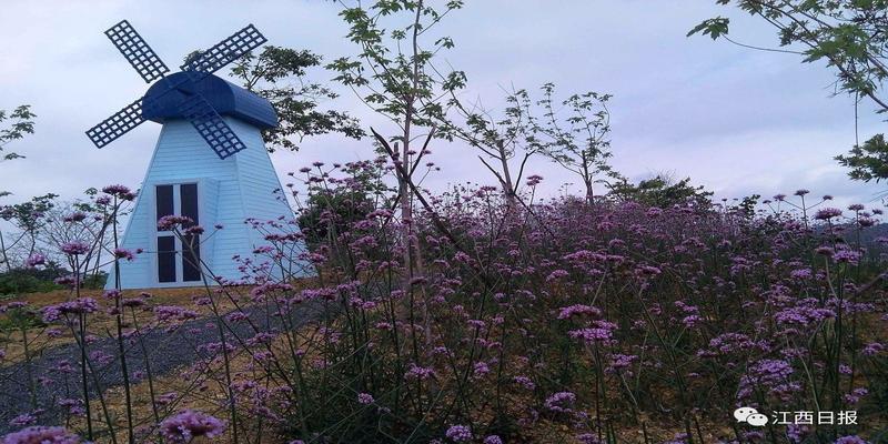 三生三世十里桃花?这里可不止百里!去武宁花源谷感受桃花雨……