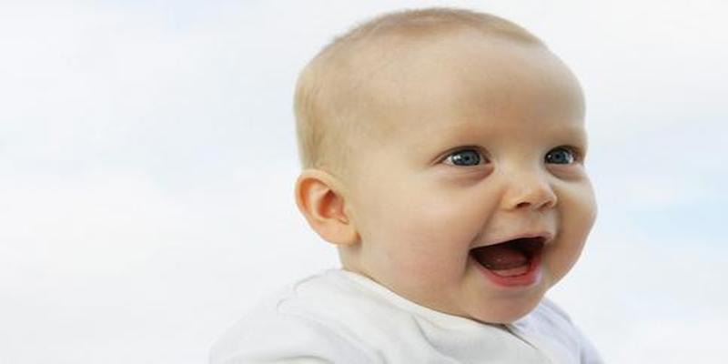 八字元神是什么意思(2017鸡宝宝起名)