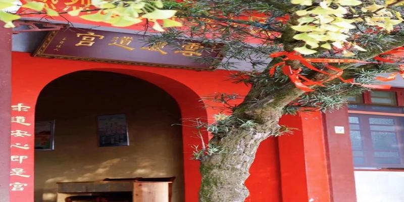 和道士谈恋爱是一种怎样的体验？