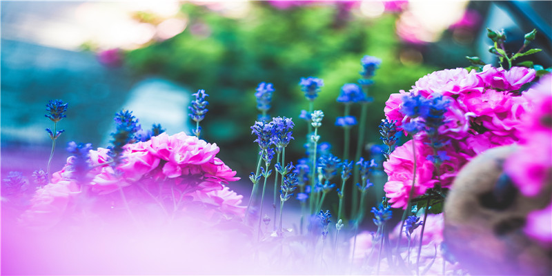 73牛男的婚姻最佳配偶(1973出生的女性能赶上50岁退休吗)