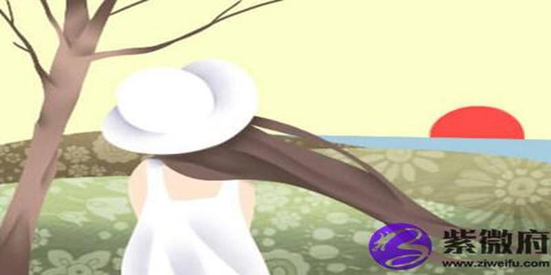 3两八钱女命(八字三两八钱女命细解)