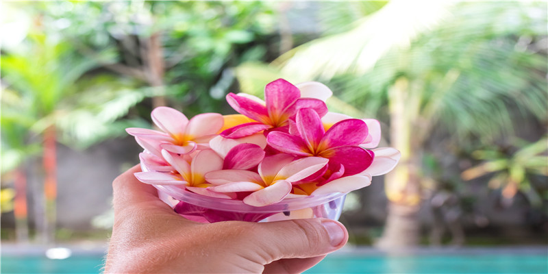 梦到大蛇吃人预示着什么(梦见大蟒蛇吃牛)