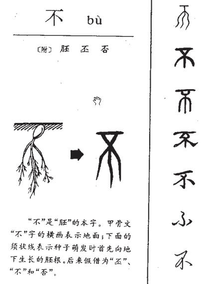 这些汉字的本意你猜不到！网友：图十二的意思真想不到