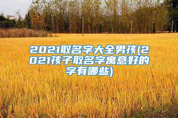 2021取名字大全男孩(2021孩子取名字寓意好的字有哪些)