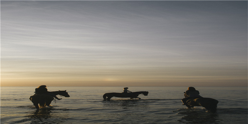经费疯狂燃烧，影帝影后回归，这周的电影狠狠把我拿捏住了
