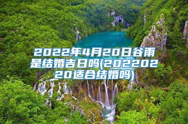 2022年4月20日谷雨是结婚吉日吗(20220220适合结婚吗)