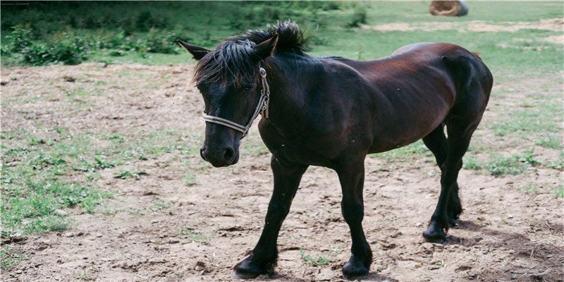 学习面相真人图解  不急于求成，打好基础。下苦功夫记、背、 练