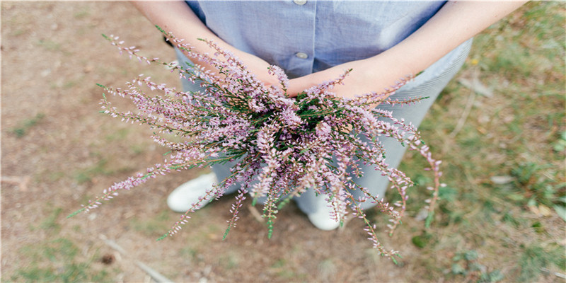 不要钱取名字大全免费(使命游戏名字)