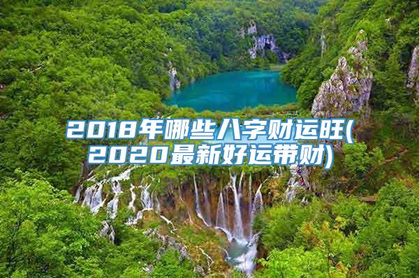 2018年哪些八字财运旺(2020最新好运带财)