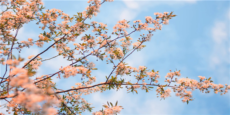 4月17日是什么日子(11月14日的国际乒联)