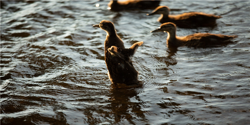 2019年走了,但24岁的你,本命年还没走