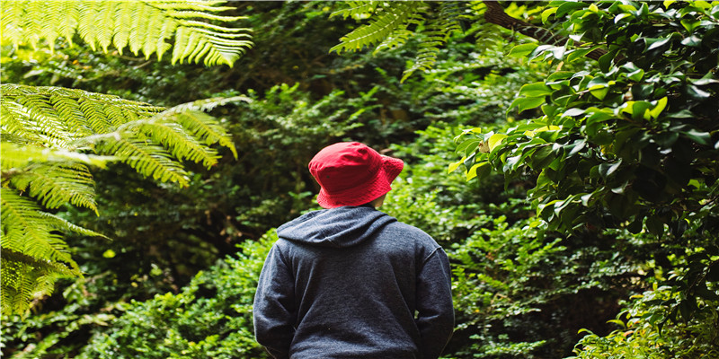 从哪些地方能看出你是不是有长寿相(长寿的男人)