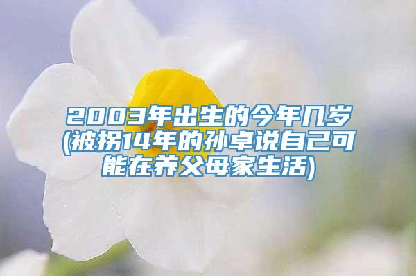 2003年出生的今年几岁(被拐14年的孙卓说自己可能在养父母家生活)