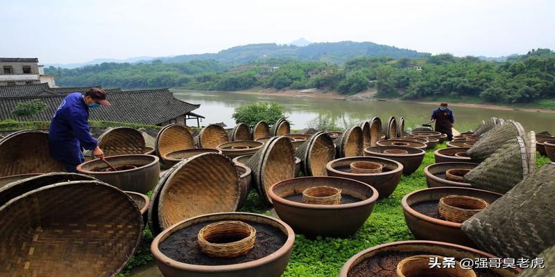 百年酱园太和号（晓晗）