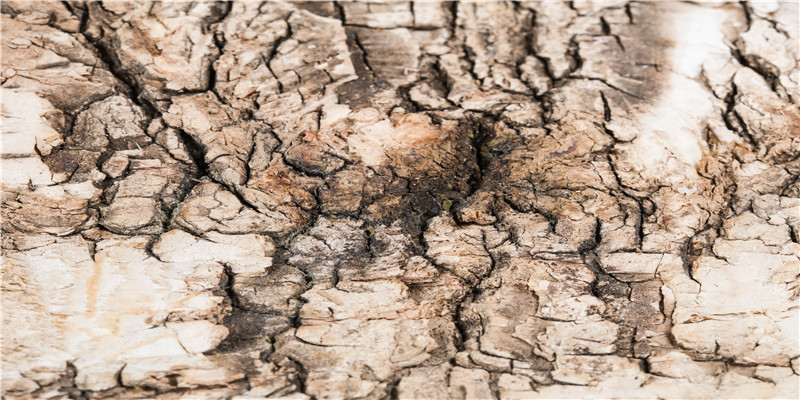 这些外卖备注亮了