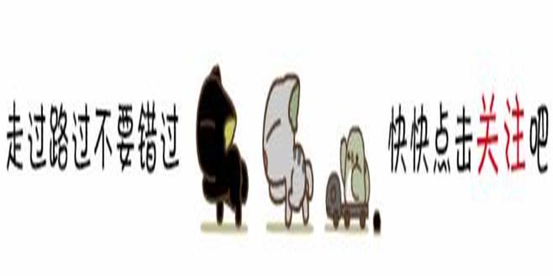 10大经典的女主算命小说(女主玄学算命文)