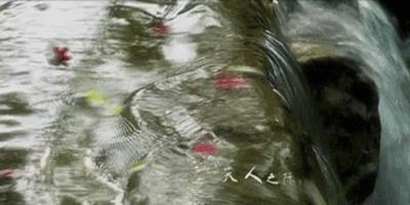教科书式案例分享|N个风水常识,让你上知天文下知地理