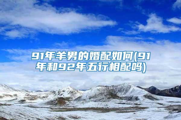 91年羊男的婚配如何(91年和92年五行相配吗)