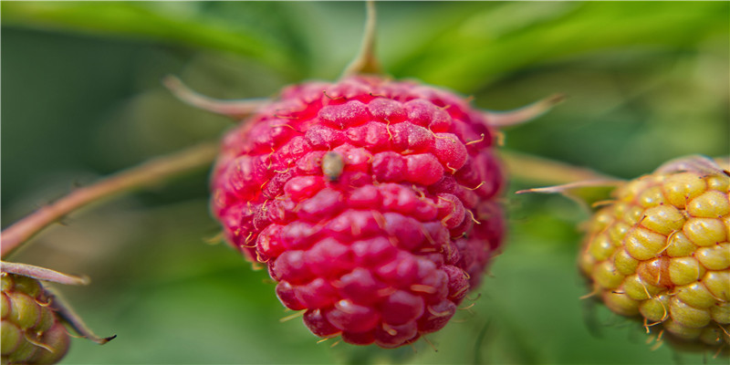 带3点水的字有哪些男孩名字(属水好听的男孩名字)