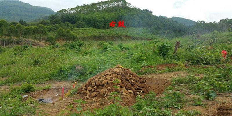 定穴两处不知作何选择，天然一窝才是风水宝地！
