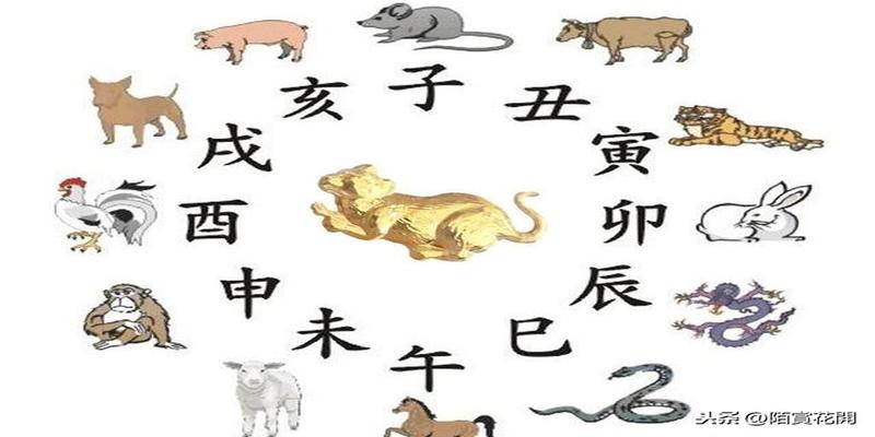 婚配时说属相不合的人，结婚后如何了？