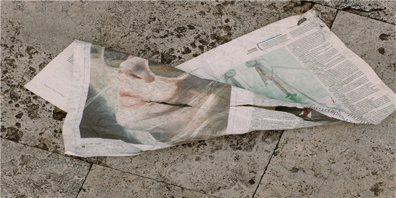 2020年1月生肖马运气如何(2020年运势)