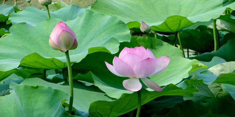 周易姓名测试(一分钟教你测试)