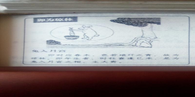 神奇的梅花易数……教你占卜,最简单准确的预测法