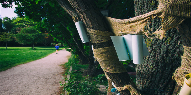 2003年属什么生肖属相什么命(诗意女孩这样起名)